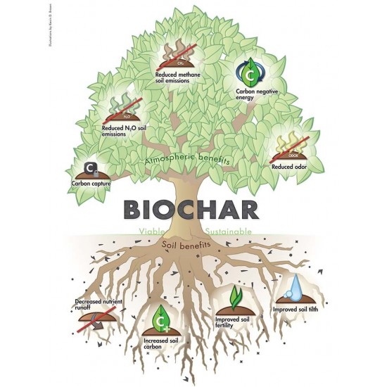 Bio Kömür 20 kg